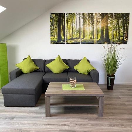 Ferienwohnung Frieda Mit Ueberdachtem Balkon Winterberg Exteriör bild