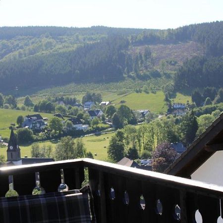 Ferienwohnung Frieda Mit Ueberdachtem Balkon Winterberg Exteriör bild