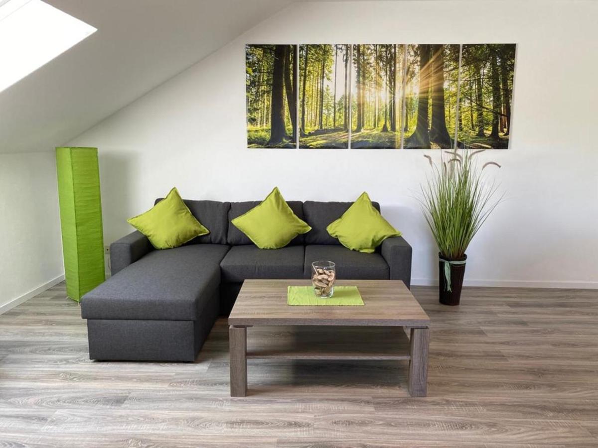 Ferienwohnung Frieda Mit Ueberdachtem Balkon Winterberg Exteriör bild